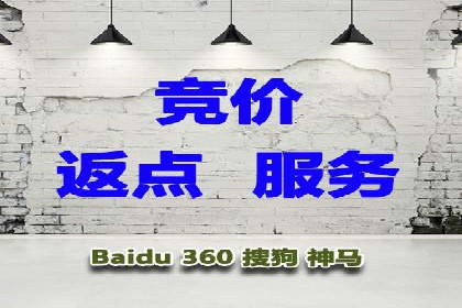 成功SEM服务案例分析报告